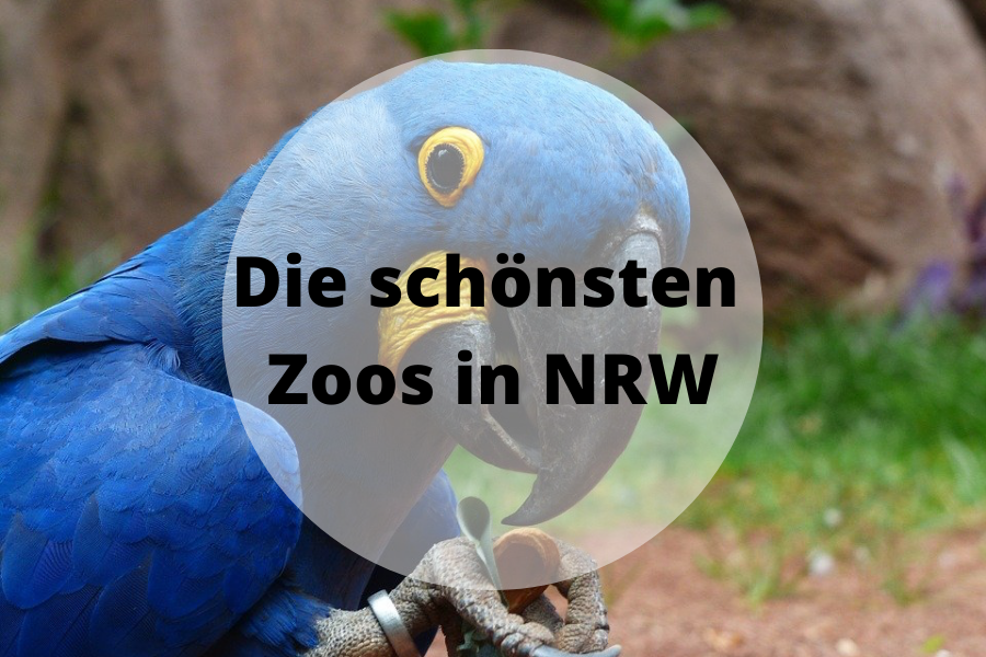 Die schönsten Zoos in NRW
