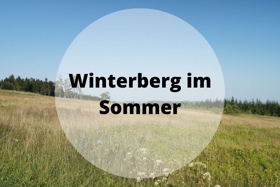 Winterberg im Sommer